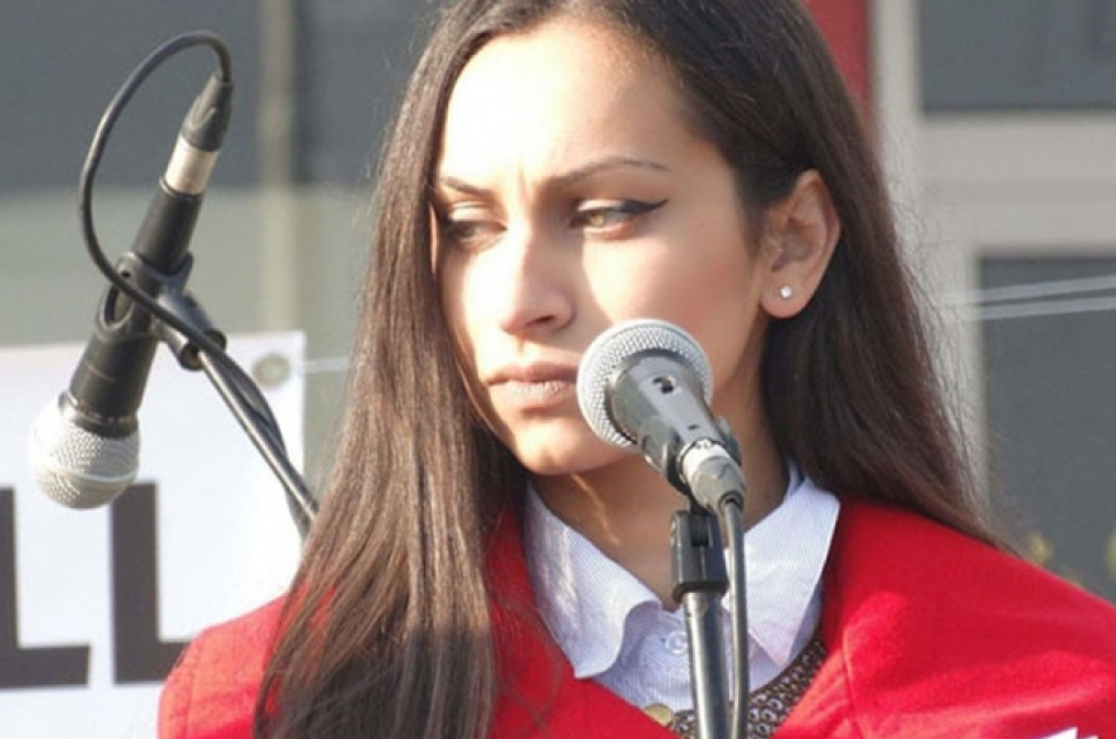 selvije 1