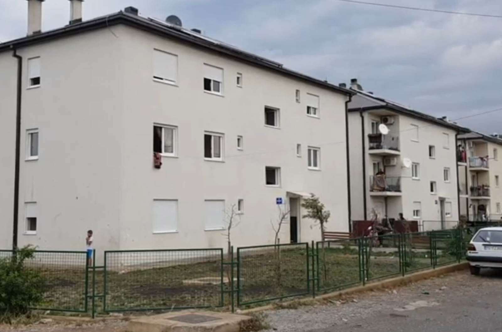 Konik
