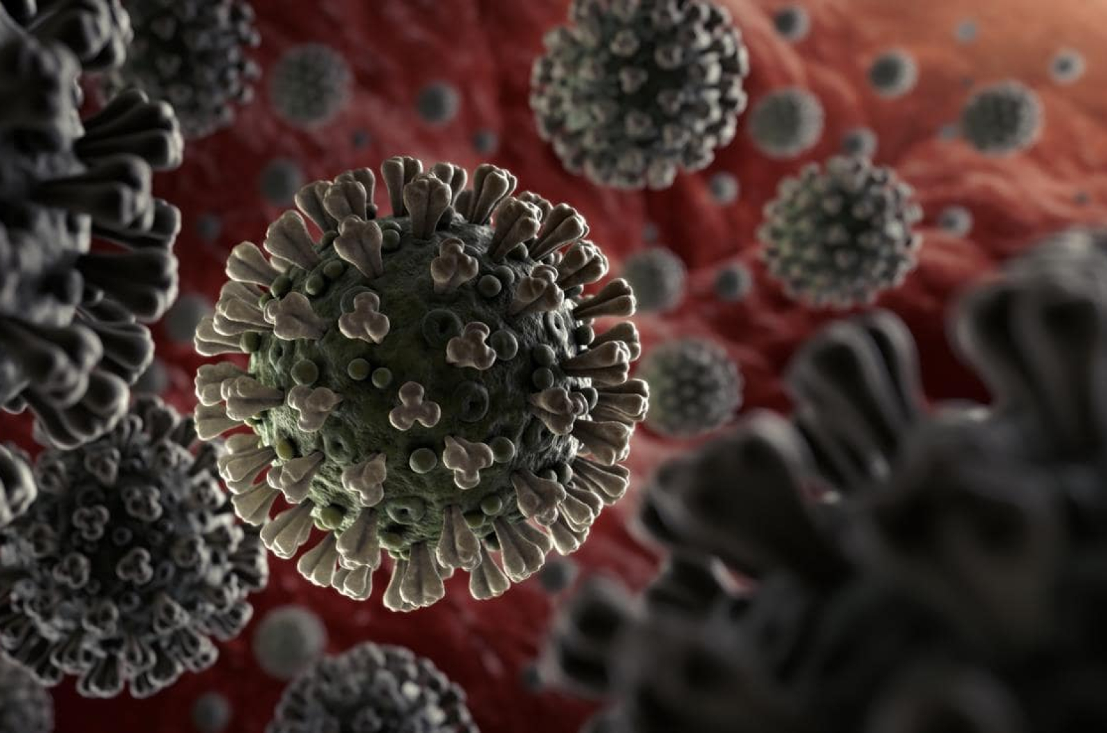 corona-virus-getty-min