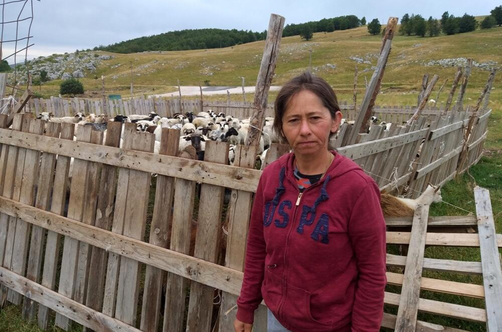 5237693_1679687_ls-min