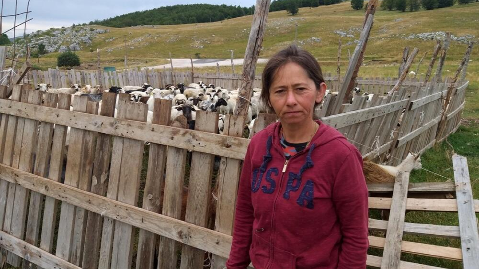 5237693_1679687_ls-min