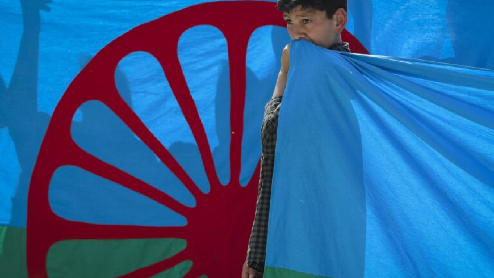 zastava1-768x507-min