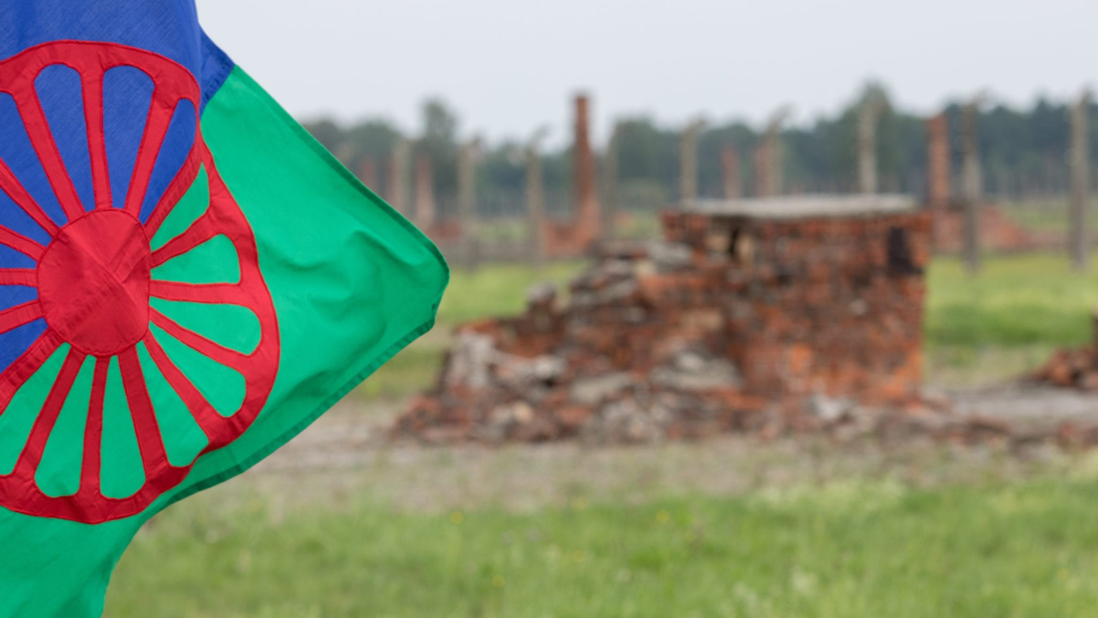 romani flag-min (1)