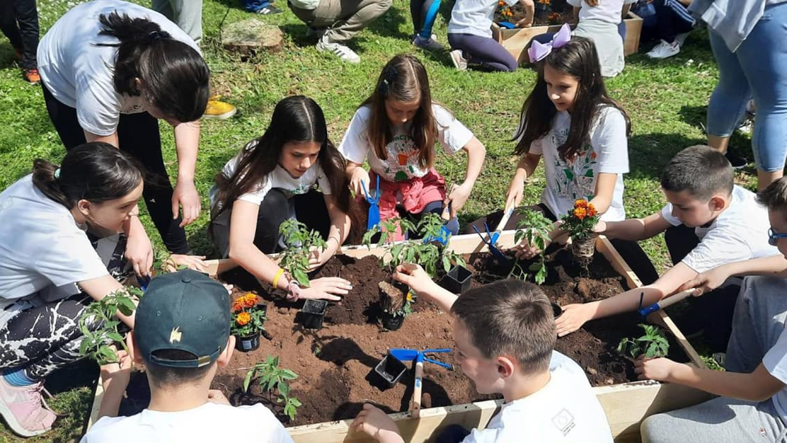 1652447130Skolska basta 1