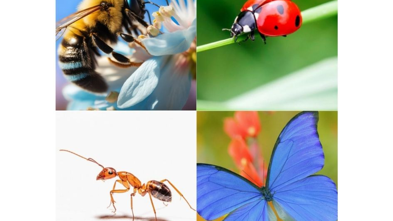 Nenaslovljeni dizajn (10)